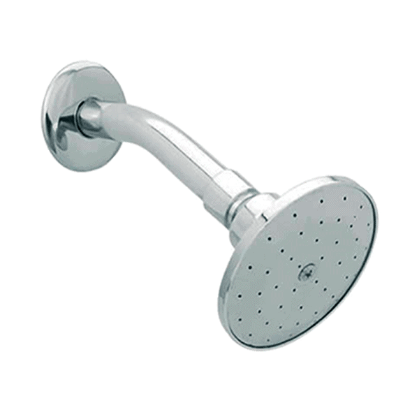 REGADERA  4504-B C/BRAZO DICA(1)