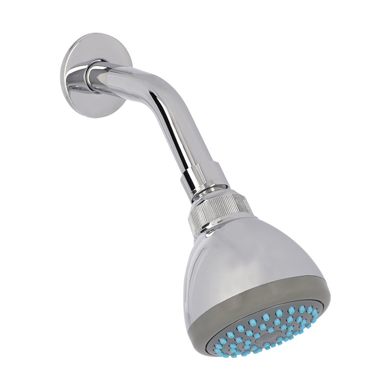 REGADERA 4545B C/BRAZO Y CHAPETON DICA (1)