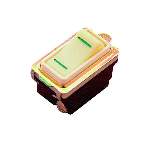 APAGADOR 7223 ESCALERA  ROYER (100)