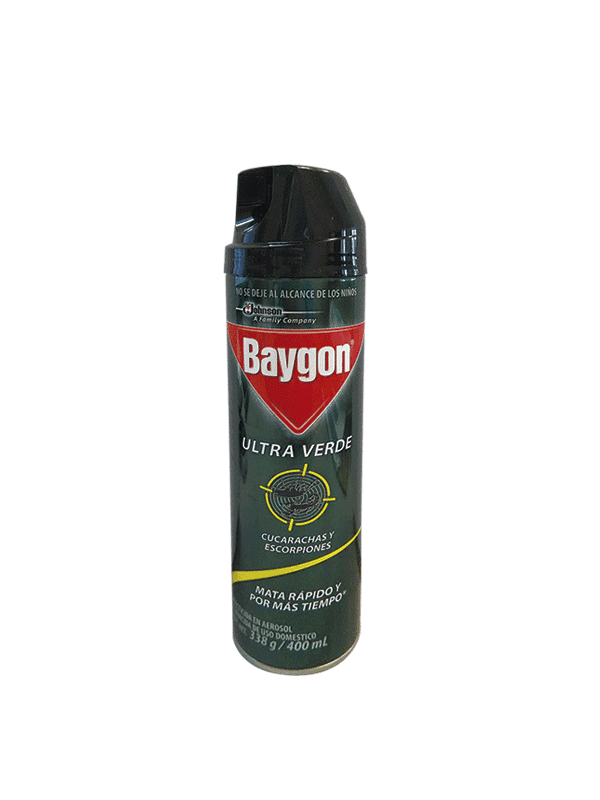 BAYGON INSECT 400ML  AEROSOL(6)