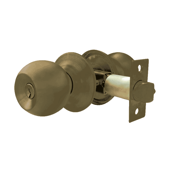 PERILLA  C-6603"BARZA" LAT ANT LL-BOTON  DEXTER (24)