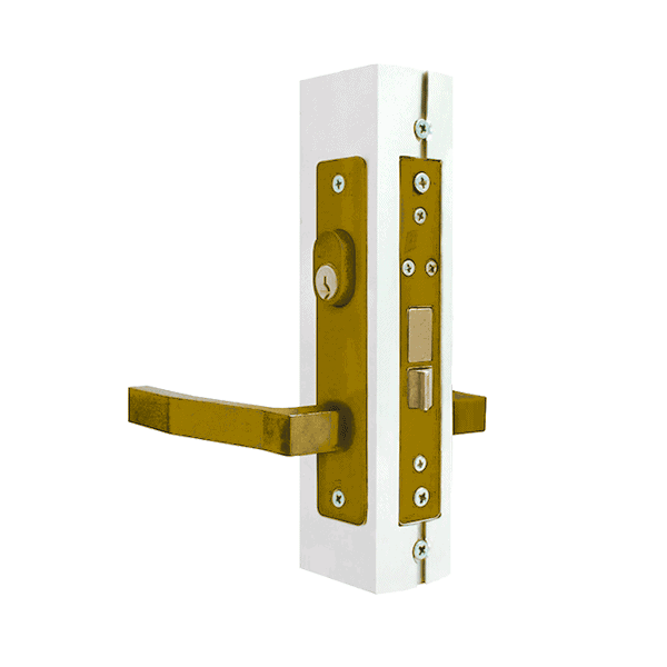 CHAPA MX586 550-AD DORADA PHILLIPS